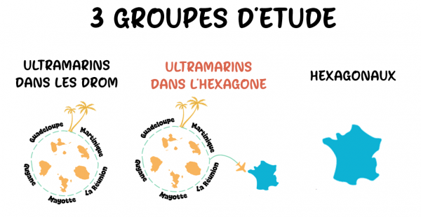 3 groupes d'étude.PNG